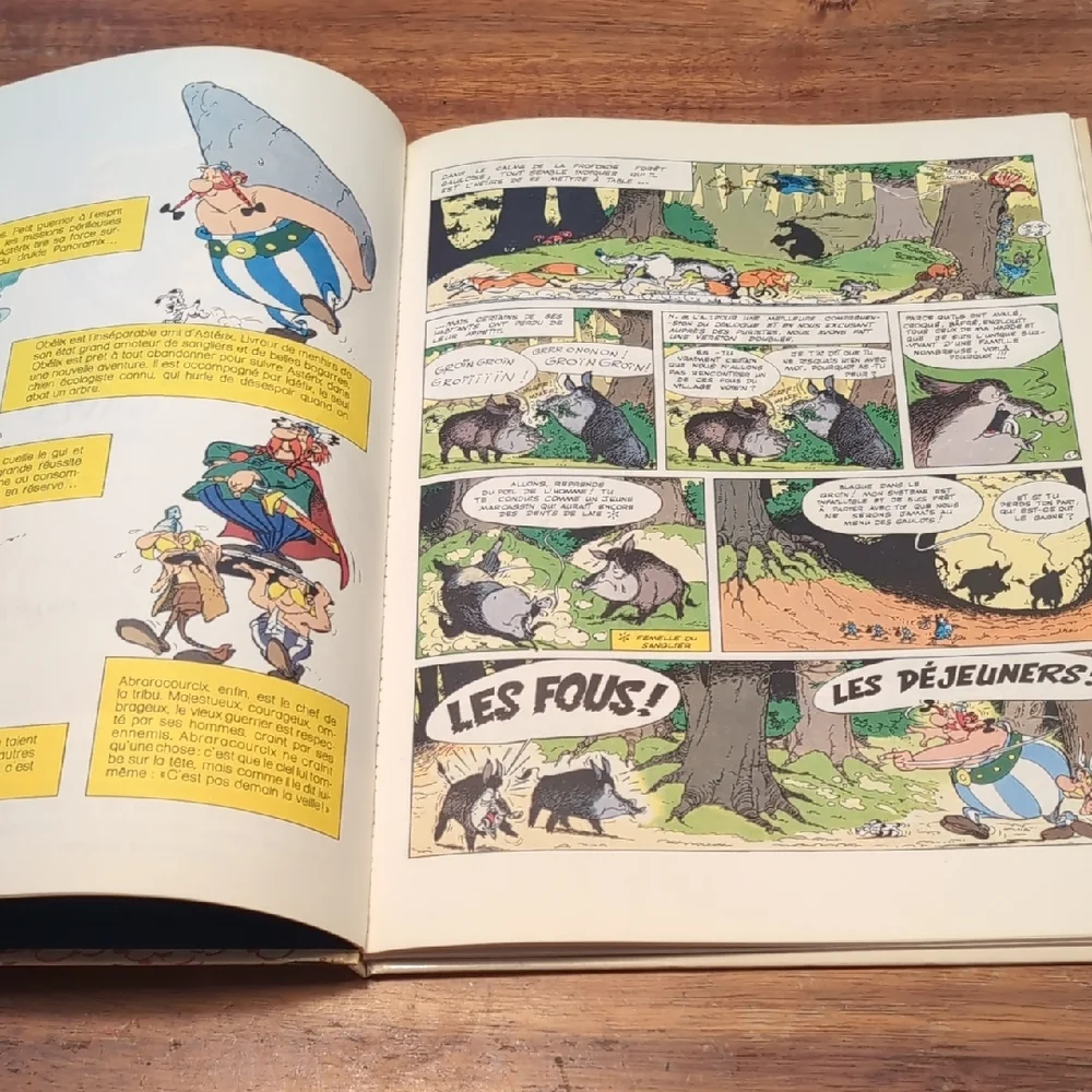 Astérix Comic Book Set - Colorful Collection - Picture 3 of 7